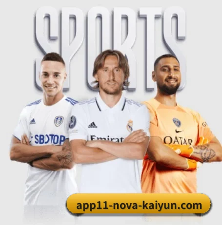 开云体育 APP | kaiyun